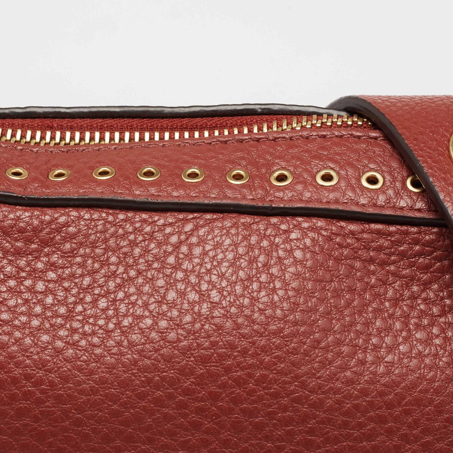 Michael Kors Brick Brown Leather Brooklyn Camera Shoulder Bag For Women - Image 5